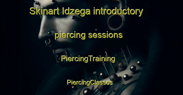 Skinart Idzega introductory piercing sessions | PiercingTraining | PiercingClasses | SkinartTraining-Netherlands