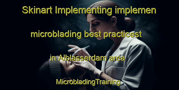 Skinart Implementing implemen microblading best practicest in Alblasserdam area | #MicrobladingTraining #MicrobladingClasses #SkinartTraining-Netherlands