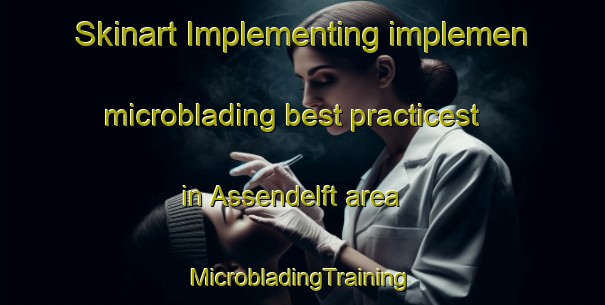 Skinart Implementing implemen microblading best practicest in Assendelft area | #MicrobladingTraining #MicrobladingClasses #SkinartTraining-Netherlands