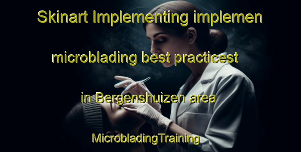 Skinart Implementing implemen microblading best practicest in Bergenshuizen area | MicrobladingTraining | MicrobladingClasses | SkinartTraining-Netherlands