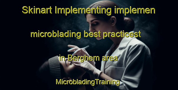 Skinart Implementing implemen microblading best practicest in Berghem area | #MicrobladingTraining #MicrobladingClasses #SkinartTraining-Netherlands