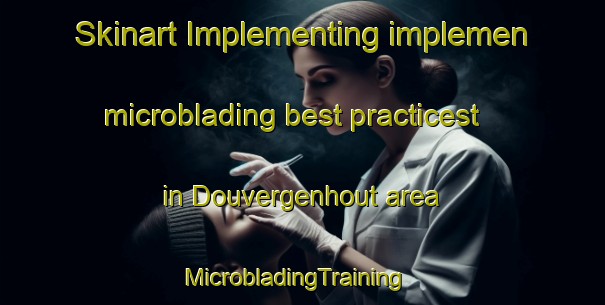 Skinart Implementing implemen microblading best practicest in Douvergenhout area | MicrobladingTraining | MicrobladingClasses | SkinartTraining-Netherlands