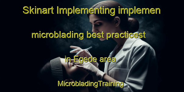 Skinart Implementing implemen microblading best practicest in Egede area | #MicrobladingTraining #MicrobladingClasses #SkinartTraining-Netherlands