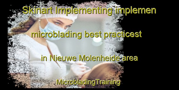 Skinart Implementing implemen microblading best practicest in Nieuwe Molenheide area | #MicrobladingTraining #MicrobladingClasses #SkinartTraining-Netherlands