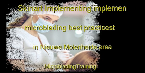 Skinart Implementing implemen microblading best practicest in Nieuwe Molenheide area | MicrobladingTraining | MicrobladingClasses | SkinartTraining-Netherlands
