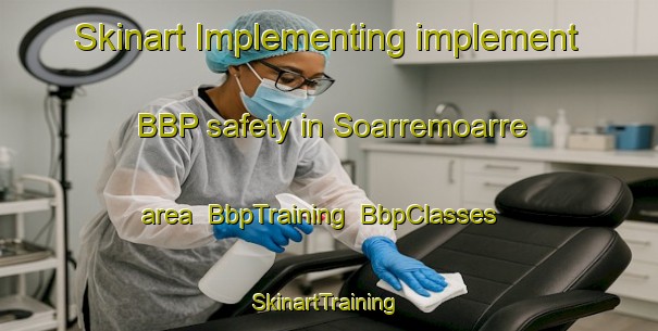 Skinart Implementing implement BBP safety in Soarremoarre area | BbpTraining | BbpClasses | SkinartTraining-Netherlands