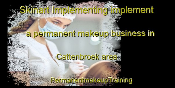 Skinart Implementing implement a permanent makeup business in Cattenbroek area | #PermanentmakeupTraining #PermanentmakeupClasses #SkinartTraining-Netherlands