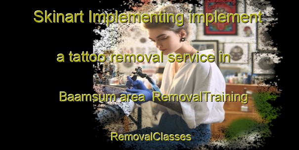 Skinart Implementing implement a tattoo removal service in Baamsum area | RemovalTraining | RemovalClasses | SkinartTraining-Netherlands