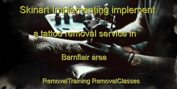 Skinart Implementing implement a tattoo removal service in Barnflair area | #RemovalTraining #RemovalClasses #SkinartTraining-Netherlands