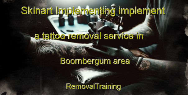 Skinart Implementing implement a tattoo removal service in Boornbergum area | RemovalTraining | RemovalClasses | SkinartTraining-Netherlands