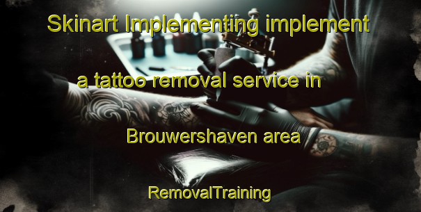 Skinart Implementing implement a tattoo removal service in Brouwershaven area | RemovalTraining | RemovalClasses | SkinartTraining-Netherlands