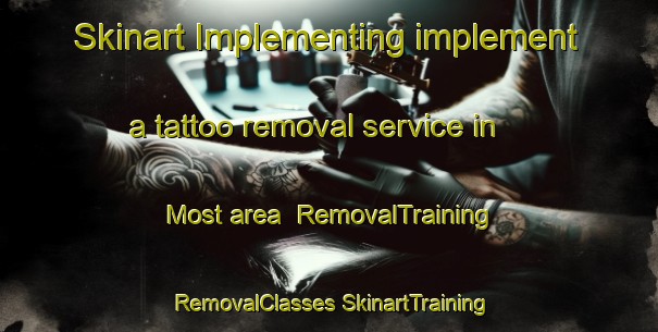 Skinart Implementing implement a tattoo removal service in Most area | #RemovalTraining #RemovalClasses #SkinartTraining-Netherlands