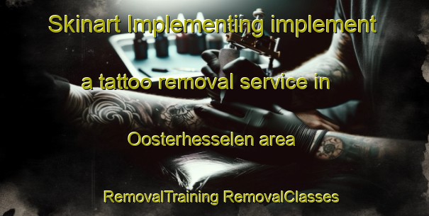 Skinart Implementing implement a tattoo removal service in Oosterhesselen area | #RemovalTraining #RemovalClasses #SkinartTraining-Netherlands