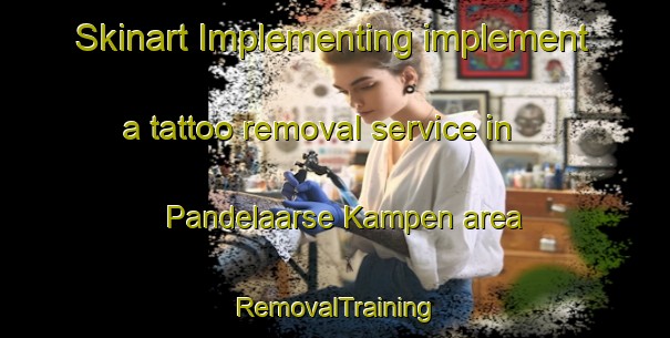 Skinart Implementing implement a tattoo removal service in Pandelaarse Kampen area | RemovalTraining | RemovalClasses | SkinartTraining-Netherlands