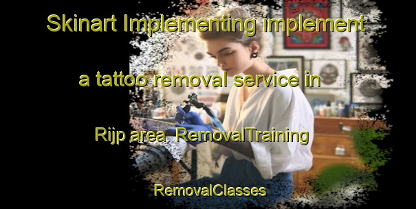 Skinart Implementing implement a tattoo removal service in Rijp area | RemovalTraining | RemovalClasses | SkinartTraining-Netherlands