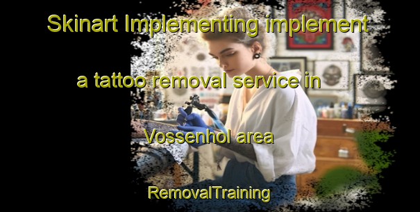 Skinart Implementing implement a tattoo removal service in Vossenhol area | RemovalTraining | RemovalClasses | SkinartTraining-Netherlands
