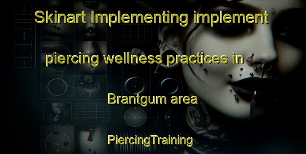 Skinart Implementing implement piercing wellness practices in Brantgum area | #PiercingTraining #PiercingClasses #SkinartTraining-Netherlands