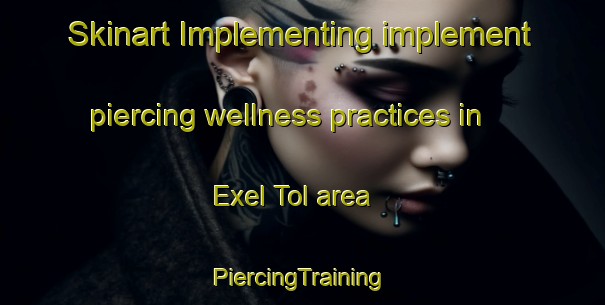 Skinart Implementing implement piercing wellness practices in Exel Tol area | #PiercingTraining #PiercingClasses #SkinartTraining-Netherlands