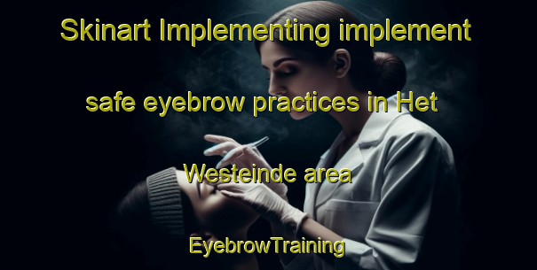 Skinart Implementing implement safe eyebrow practices in Het Westeinde area | EyebrowTraining | EyebrowClasses | SkinartTraining-Netherlands