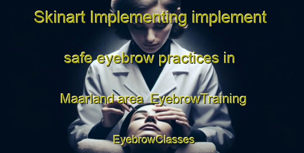 Skinart Implementing implement safe eyebrow practices in Maarland area | EyebrowTraining | EyebrowClasses | SkinartTraining-Netherlands