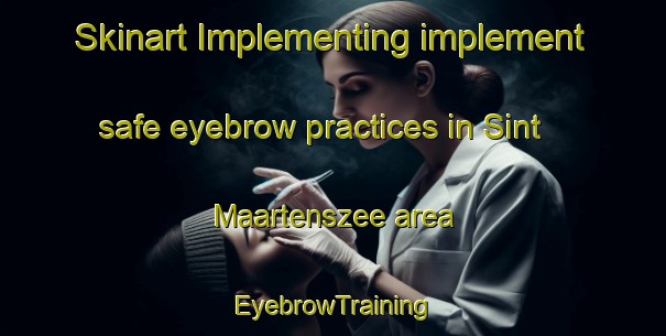 Skinart Implementing implement safe eyebrow practices in Sint Maartenszee area | EyebrowTraining | EyebrowClasses | SkinartTraining-Netherlands