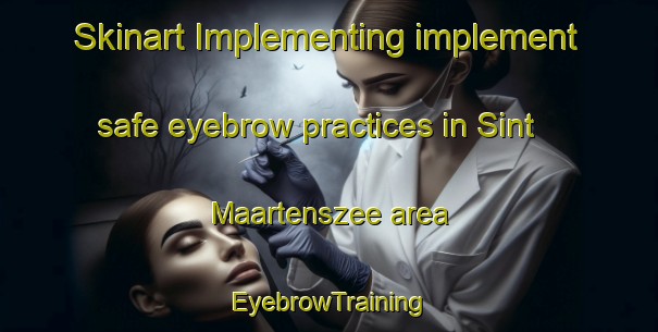 Skinart Implementing implement safe eyebrow practices in Sint Maartenszee area | EyebrowTraining | EyebrowClasses | SkinartTraining-Netherlands