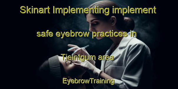 Skinart Implementing implement safe eyebrow practices in Tjeintgum area | EyebrowTraining | EyebrowClasses | SkinartTraining-Netherlands