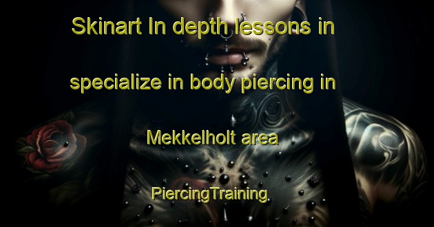 Skinart In-depth lessons in specialize in body piercing in Mekkelholt area | PiercingTraining | PiercingClasses | SkinartTraining-Netherlands