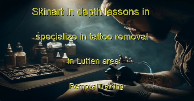 Skinart In-depth lessons in specialize in tattoo removal in Lutten area | RemovalTraining | RemovalClasses | SkinartTraining-Netherlands