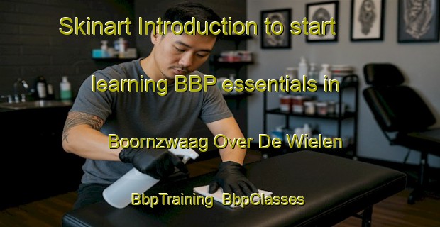 Skinart Introduction to start learning BBP essentials in Boornzwaag Over De Wielen | BbpTraining | BbpClasses | SkinartTraining-Netherlands