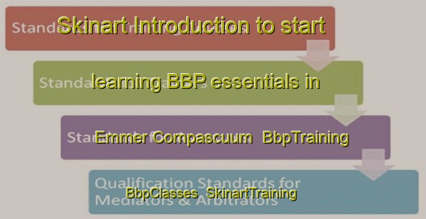 Skinart Introduction to start learning BBP essentials in Emmer Compascuum | BbpTraining | BbpClasses | SkinartTraining-Netherlands