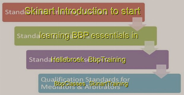 Skinart Introduction to start learning BBP essentials in Hellebroek | BbpTraining | BbpClasses | SkinartTraining-Netherlands