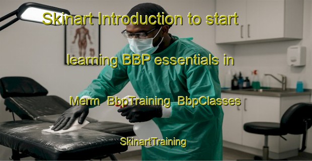 Skinart Introduction to start learning BBP essentials in Merm | BbpTraining | BbpClasses | SkinartTraining-Netherlands