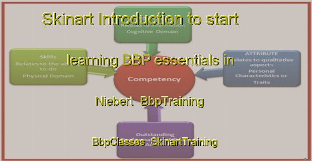 Skinart Introduction to start learning BBP essentials in Niebert | BbpTraining | BbpClasses | SkinartTraining-Netherlands