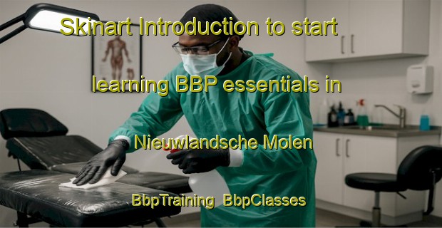 Skinart Introduction to start learning BBP essentials in Nieuwlandsche Molen | BbpTraining | BbpClasses | SkinartTraining-Netherlands