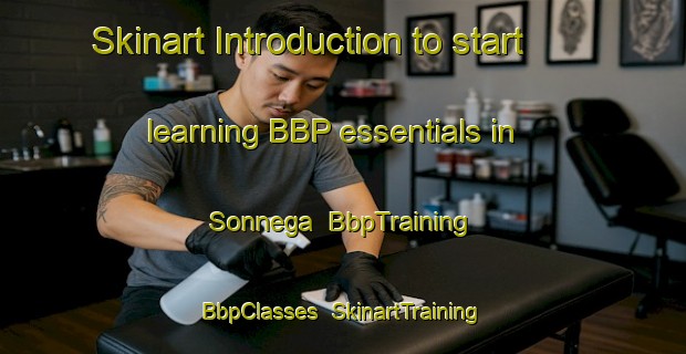 Skinart Introduction to start learning BBP essentials in Sonnega | BbpTraining | BbpClasses | SkinartTraining-Netherlands