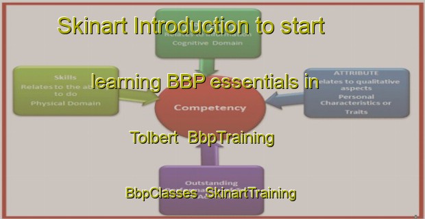 Skinart Introduction to start learning BBP essentials in Tolbert | BbpTraining | BbpClasses | SkinartTraining-Netherlands