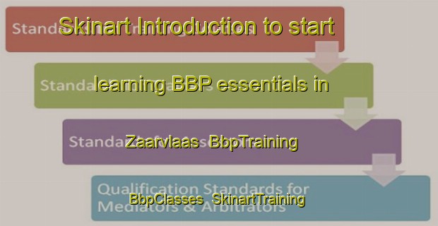 Skinart Introduction to start learning BBP essentials in Zaarvlaas | BbpTraining | BbpClasses | SkinartTraining-Netherlands