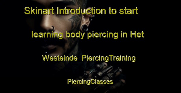 Skinart Introduction to start learning body piercing in Het Westeinde | #PiercingTraining #PiercingClasses #SkinartTraining-Netherlands