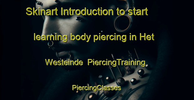 Skinart Introduction to start learning body piercing in Het Westeinde | #PiercingTraining #PiercingClasses #SkinartTraining-Netherlands