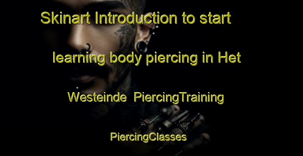 Skinart Introduction to start learning body piercing in Het Westeinde | PiercingTraining | PiercingClasses | SkinartTraining-Netherlands