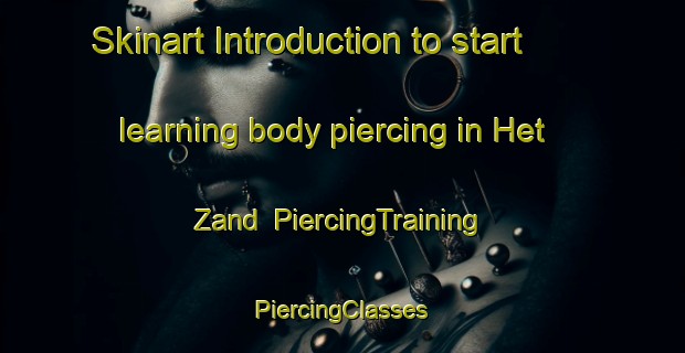 Skinart Introduction to start learning body piercing in Het Zand | #PiercingTraining #PiercingClasses #SkinartTraining-Netherlands