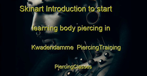 Skinart Introduction to start learning body piercing in Kwadendamme | #PiercingTraining #PiercingClasses #SkinartTraining-Netherlands