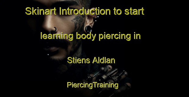 Skinart Introduction to start learning body piercing in Stiens Aldlan | #PiercingTraining #PiercingClasses #SkinartTraining-Netherlands