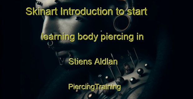 Skinart Introduction to start learning body piercing in Stiens Aldlan | #PiercingTraining #PiercingClasses #SkinartTraining-Netherlands