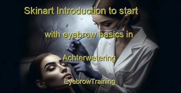 Skinart Introduction to start with eyebrow basics in Achterwetering | EyebrowTraining | EyebrowClasses | SkinartTraining-Netherlands