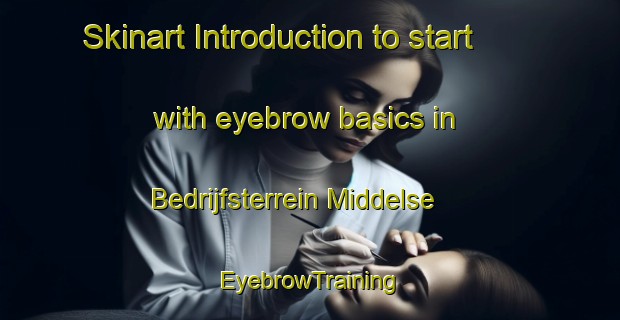 Skinart Introduction to start with eyebrow basics in Bedrijfsterrein Middelse | EyebrowTraining | EyebrowClasses | SkinartTraining-Netherlands