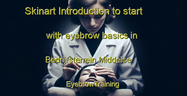Skinart Introduction to start with eyebrow basics in Bedrijfsterrein Middelse | EyebrowTraining | EyebrowClasses | SkinartTraining-Netherlands