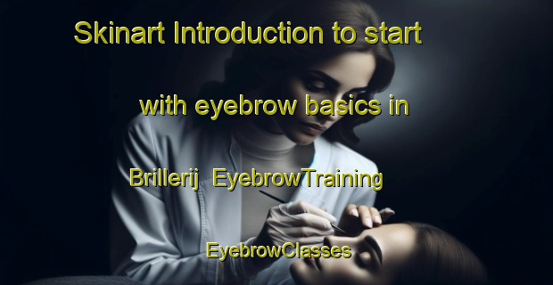 Skinart Introduction to start with eyebrow basics in Brillerij | EyebrowTraining | EyebrowClasses | SkinartTraining-Netherlands