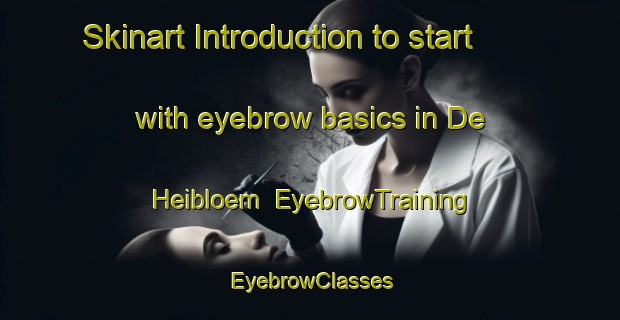 Skinart Introduction to start with eyebrow basics in De Heibloem | EyebrowTraining | EyebrowClasses | SkinartTraining-Netherlands